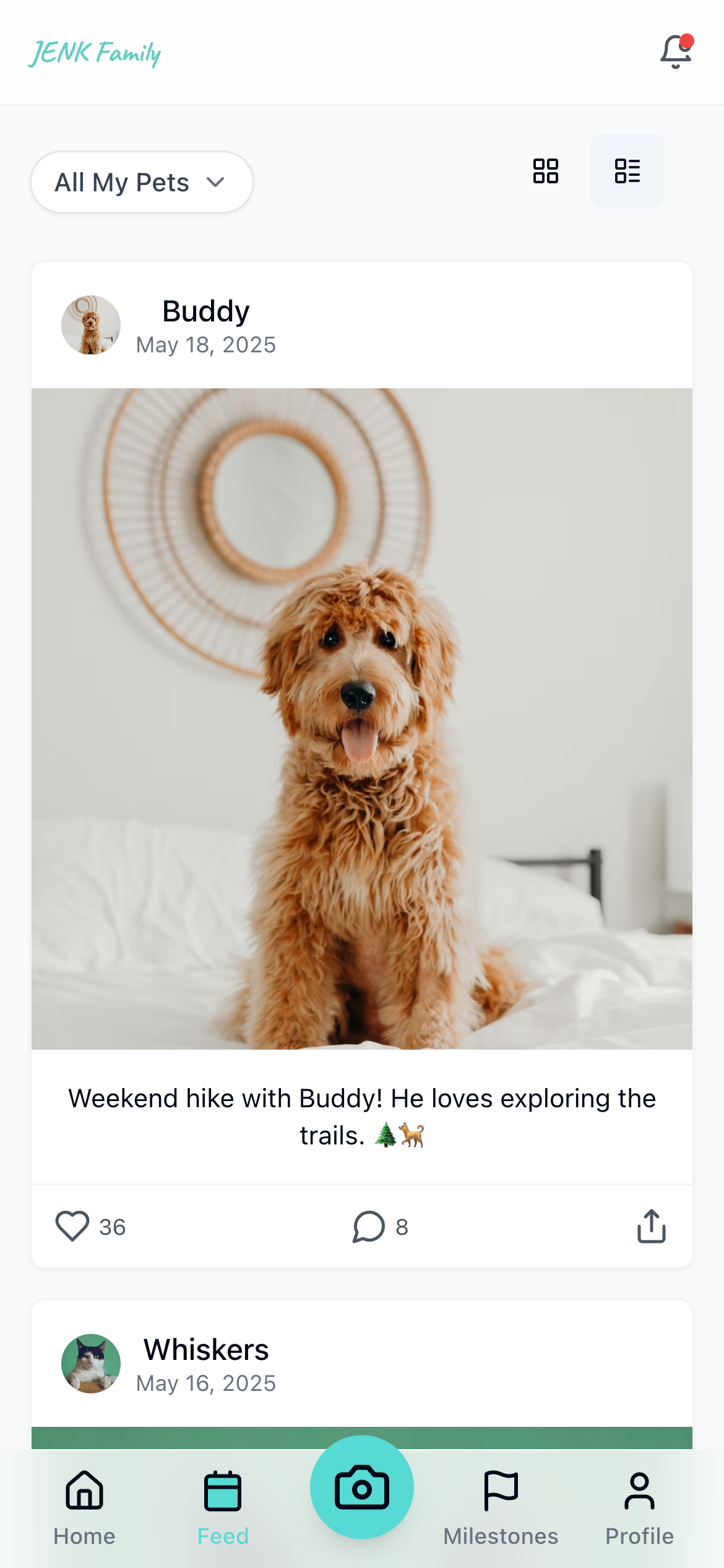 TinyPaws Timeline View