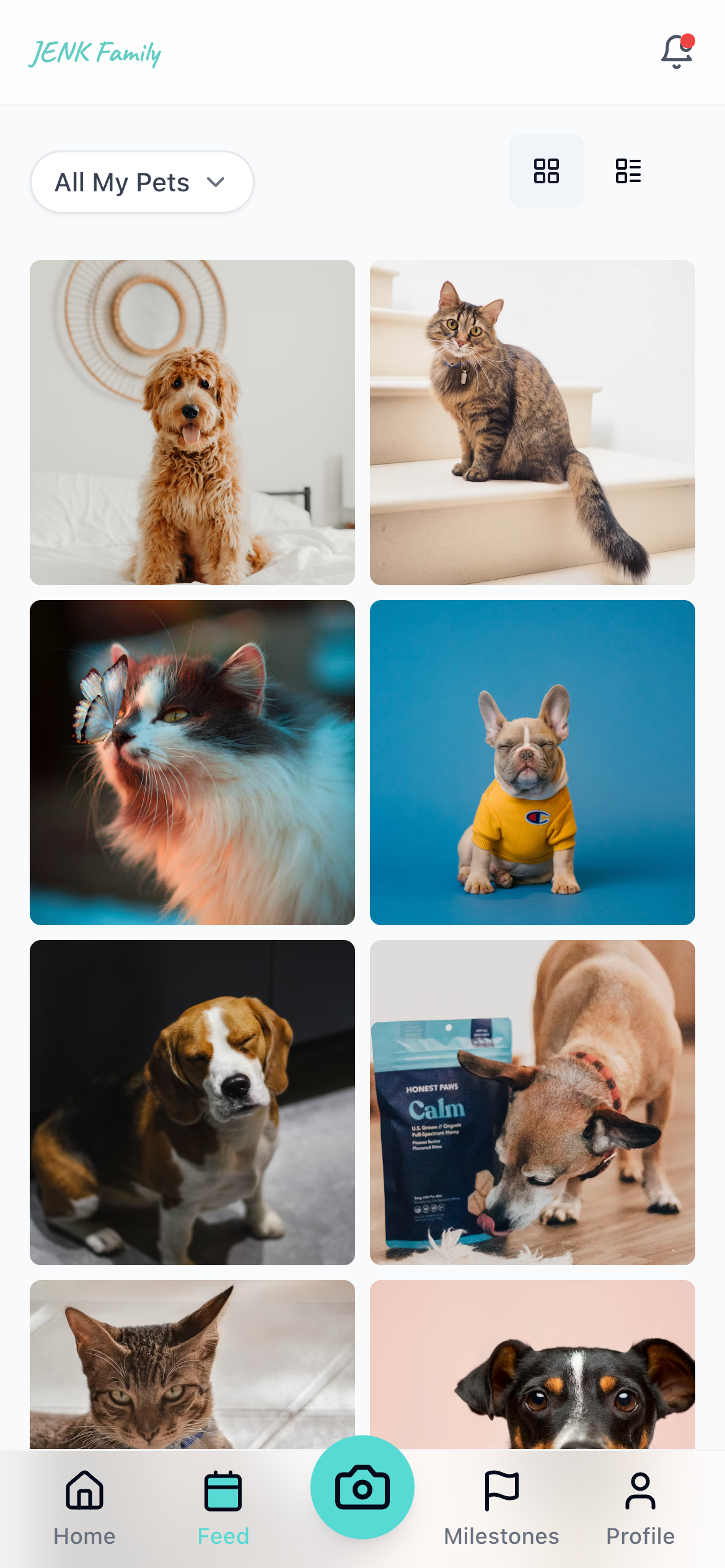 TinyPaws Photo Gallery