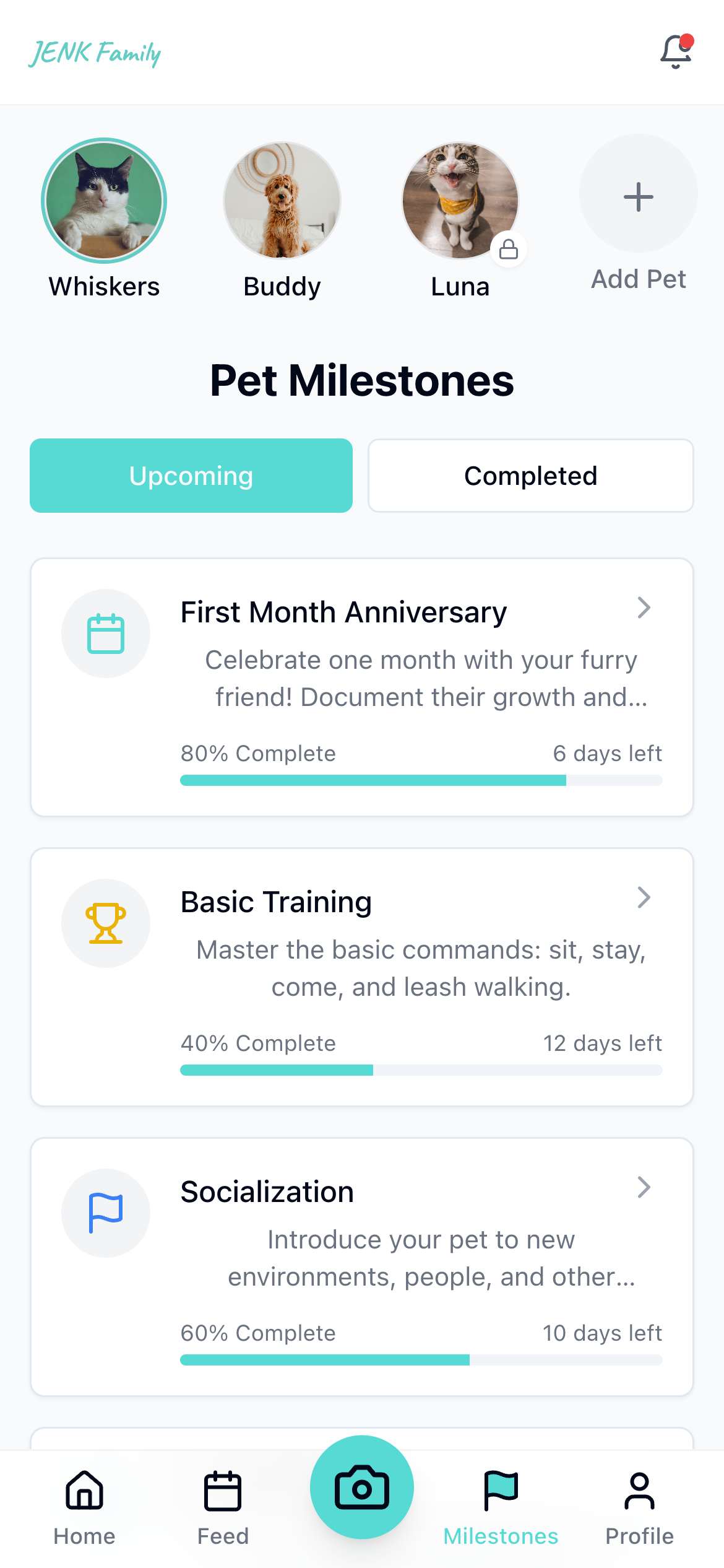 TinyPaws Memory Detail